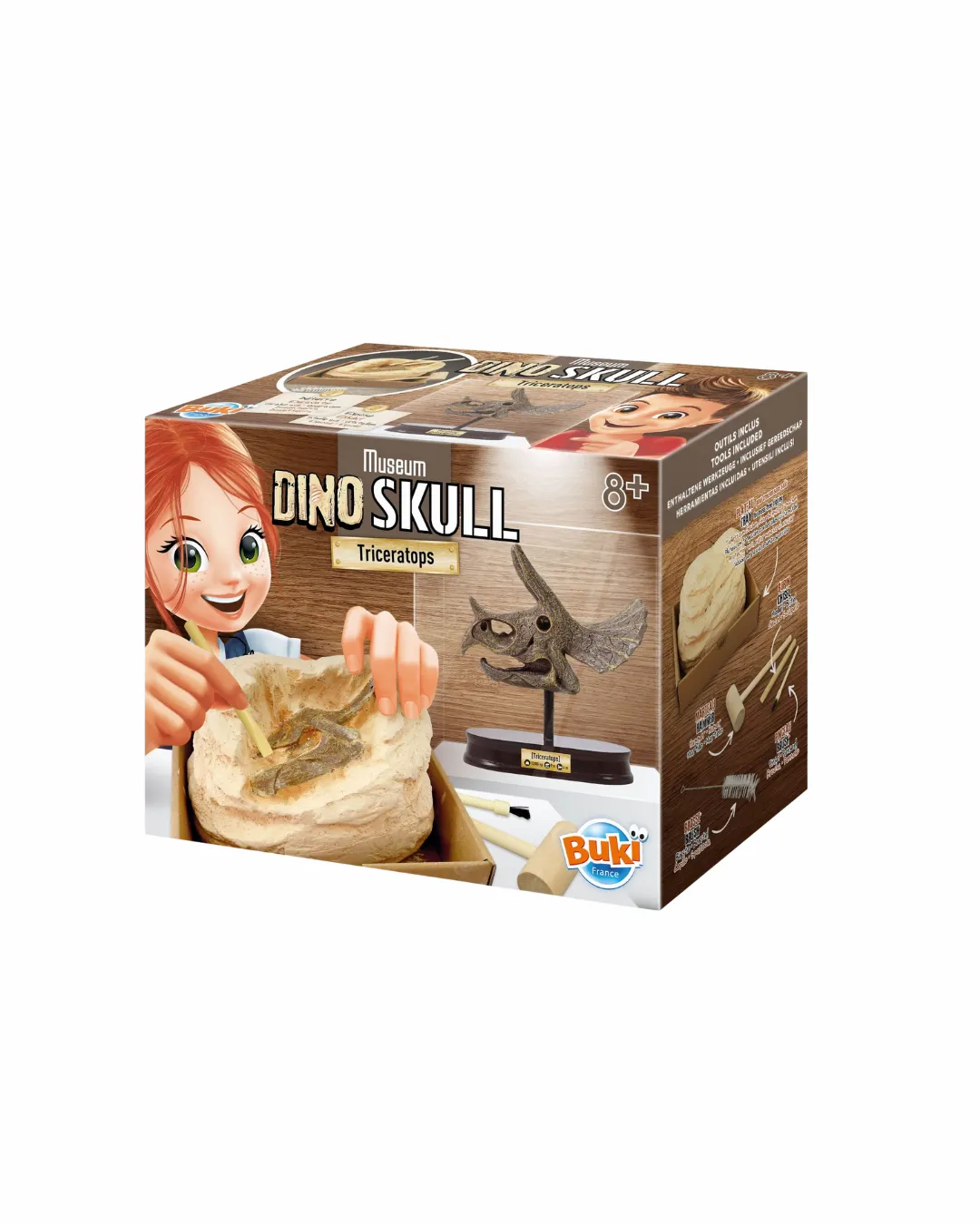 Buki - muzeum czaszek dinozaura Triceratops