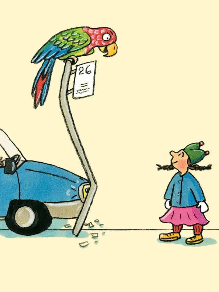 Wydawnictwo Dwie Siostry - Pola z Ulicy Czereśniowej