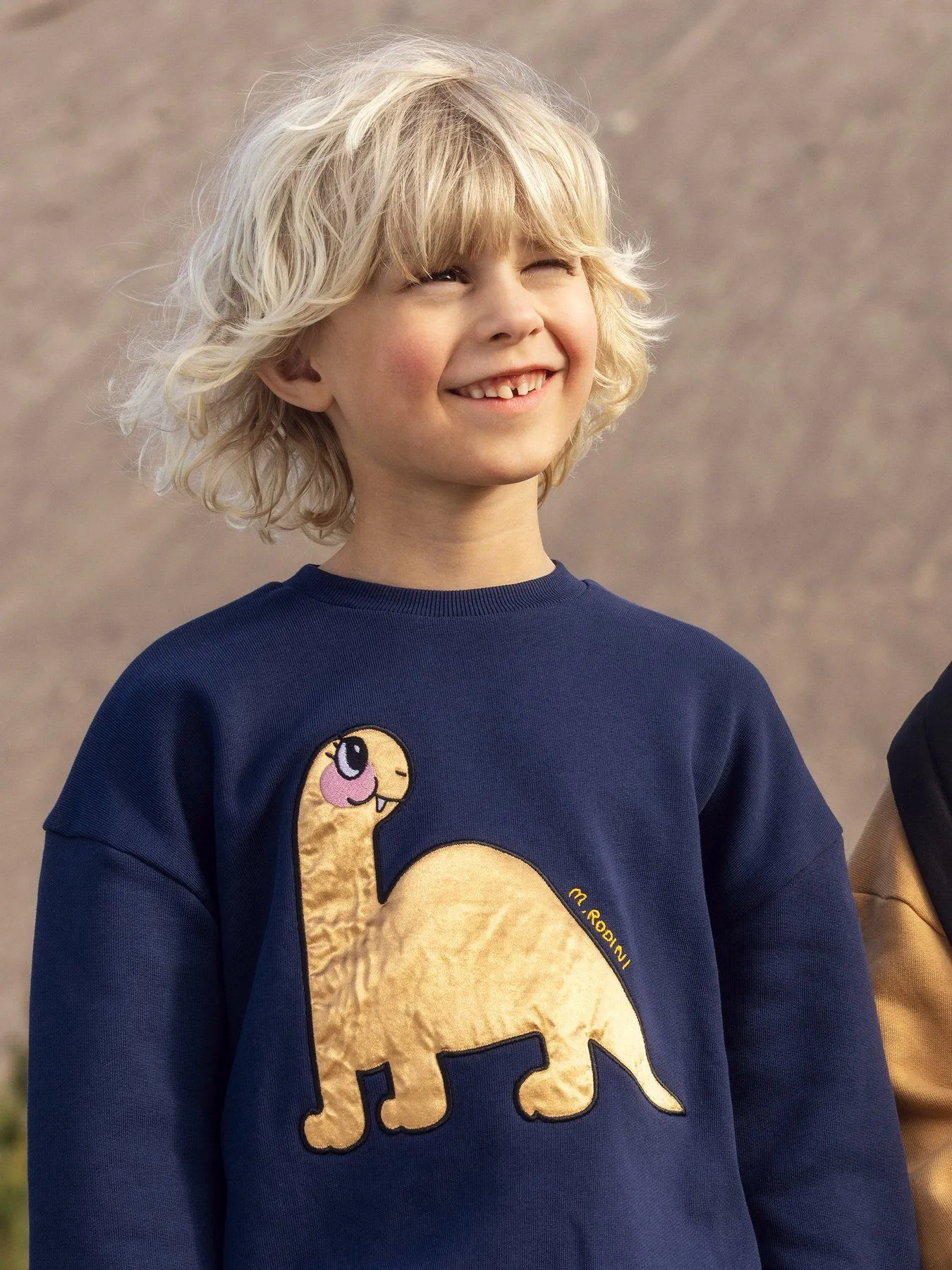 Mini Rodini - bluza dresowa z aplikacją Dino Mini Rodini - bluza dresowa z aplikacją Dino