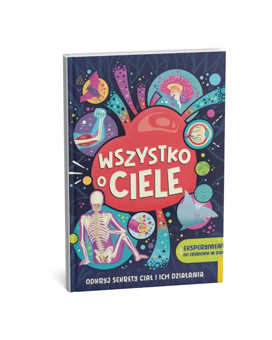 Wydawnictwo Wilga - Wszystko o ciele Wydawnictwo Wilga - Wszystko o ciele