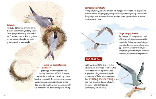 Wydawnictwo Wilga - Rozpoznaję ptaki. Młodzi Przyrodnicy Wydawnictwo Wilga - Rozpoznaję ptaki. Młodzi Przyrodnicy