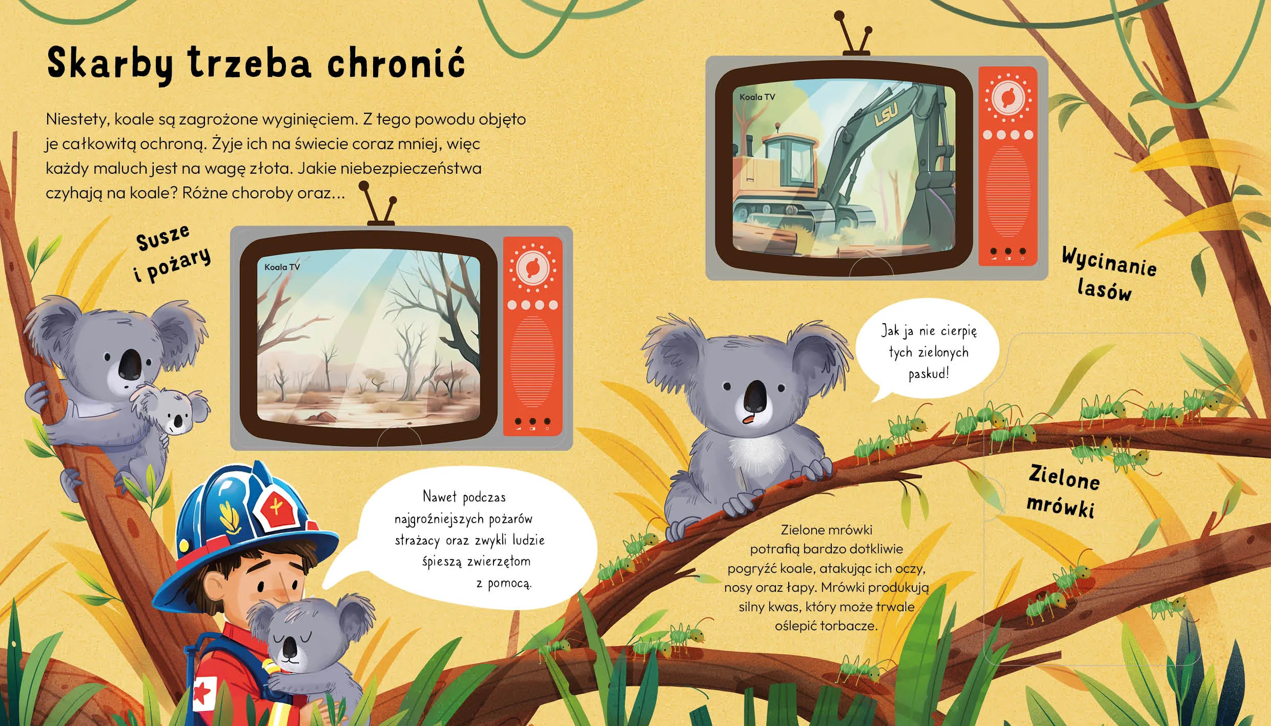 Wydawnictwo Wilga - Nie jestem misiem. Fakty o zwierzętach. Młodzi Przyrodnicy Wydawnictwo Wilga - Nie jestem misiem. Fakty o zwierzętach. Młodzi Przyrodnicy