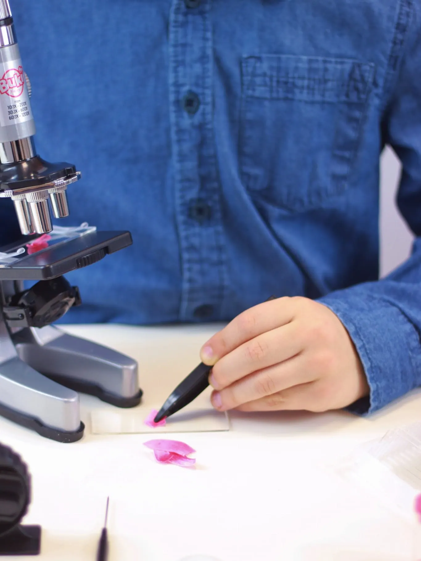 Buki - mikroskop 30 doświadczeń Buki - mikroskop 30 doświadczeń