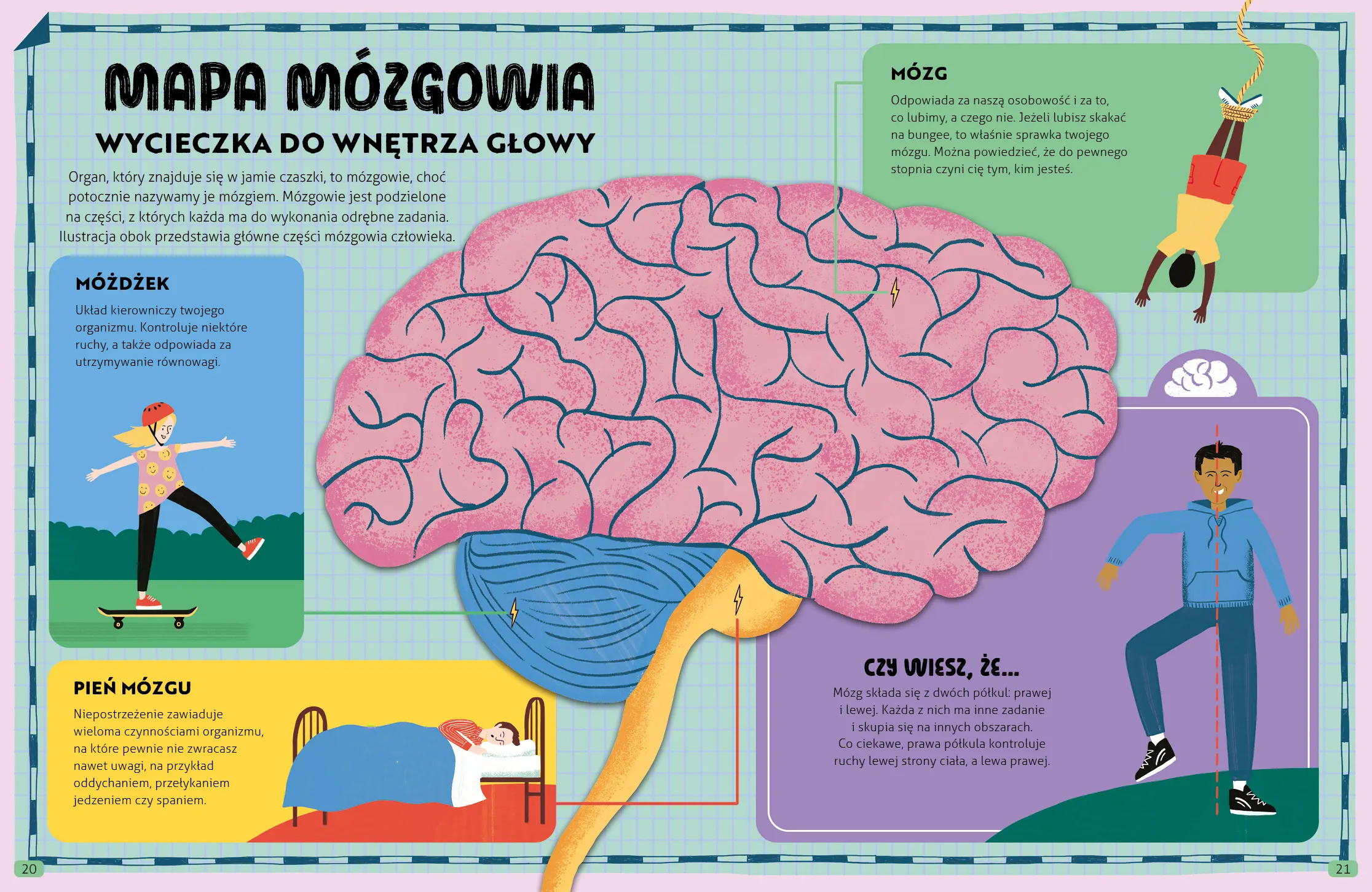 Wydawnictwo Wilga - Wszystko o mózgu Wydawnictwo Wilga - Wszystko o mózgu