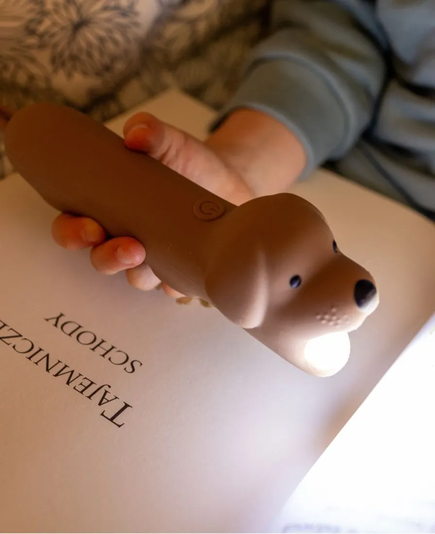 Rabbit & Friends - Latarka Pies BUDDY