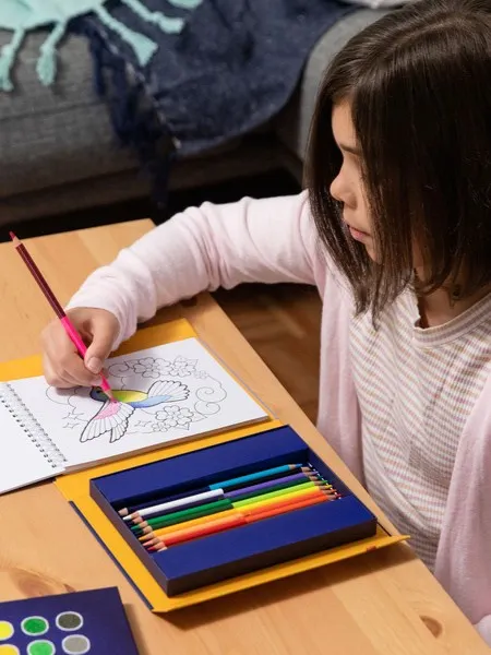 Tiger Tribe - zestaw do rysunku Nauka Blendowania Tiger Tribe - zestaw do rysunku Nauka Blendowania