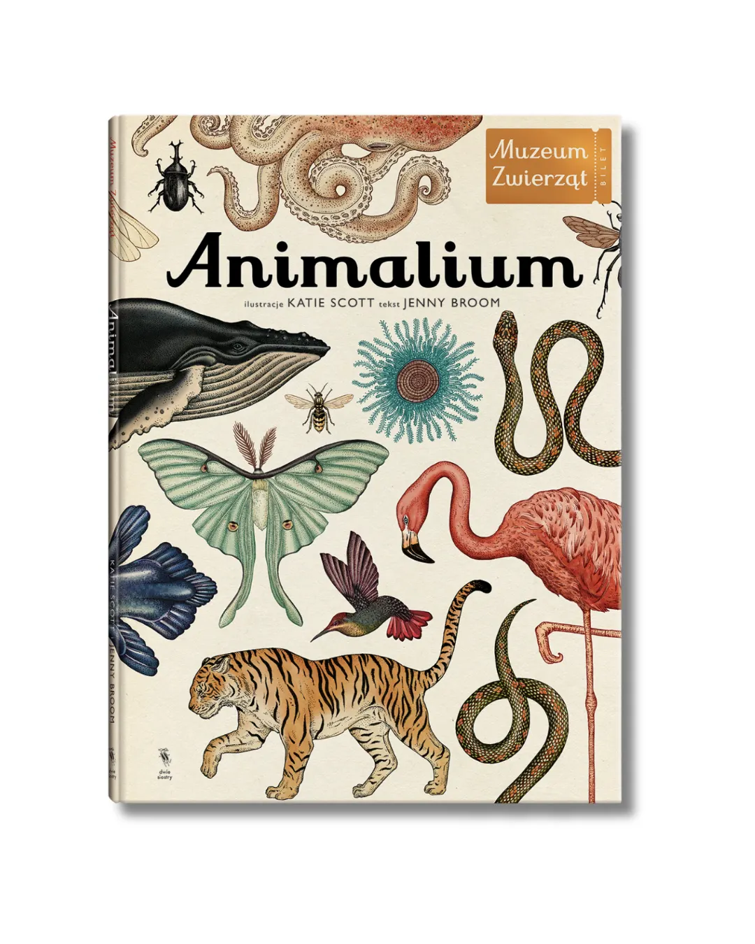 Animalium