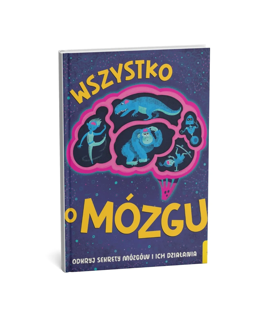 Wydawnictwo Wilga - Wszystko o mózgu Wydawnictwo Wilga - Wszystko o mózgu