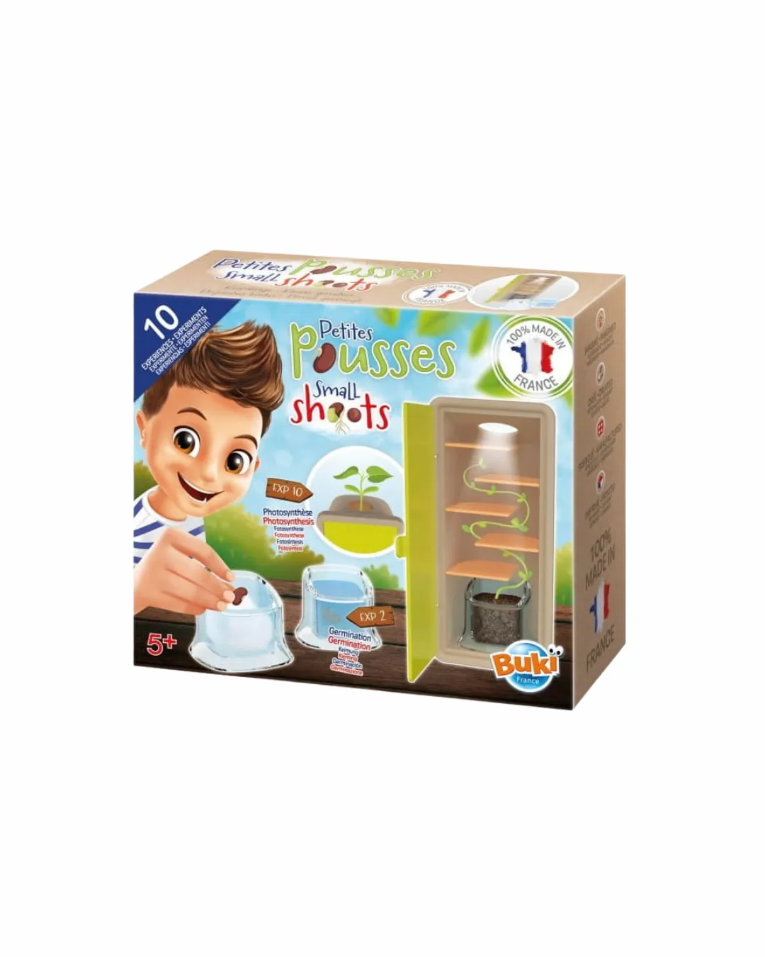 Buki - mała szklarnia - obserwacja wzrostu roślinki Buki - mała szklarnia - obserwacja wzrostu roślinki