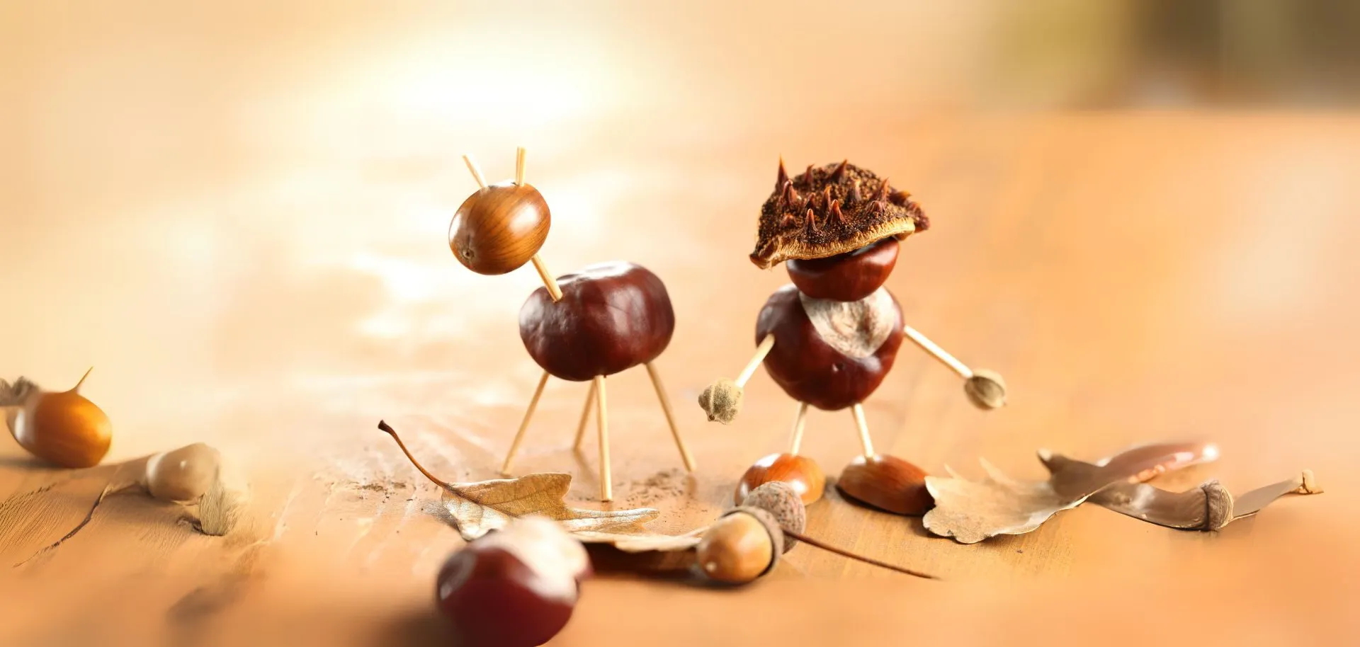 kreatywne-pomysly-na-zabawy-z-kasztanow kreatywne-pomysly-na-zabawy-z-kasztanow