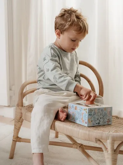 Little Dutch - sorter Forest Friends FSC Little Dutch - sorter Forest Friends FSC