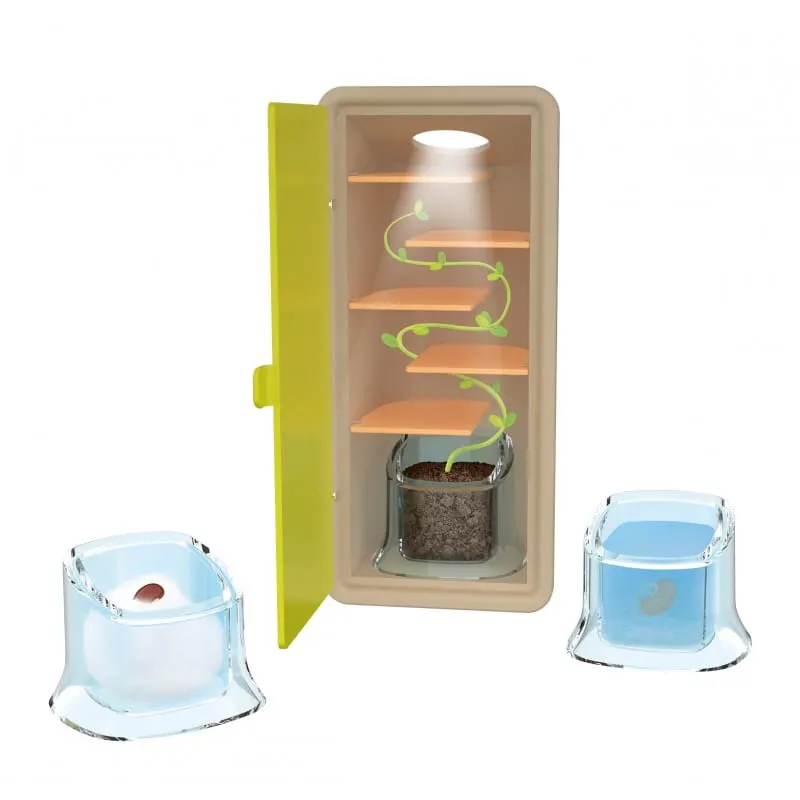 Buki - mała szklarnia - obserwacja wzrostu roślinki Buki - mała szklarnia - obserwacja wzrostu roślinki