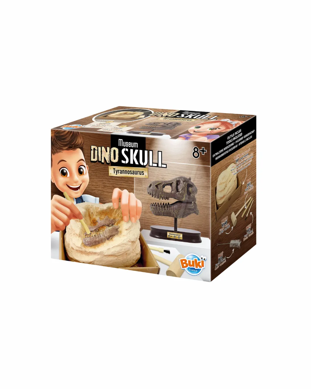 Buki - Muzeum czaszek dinozaura Tyranozaur Buki - Muzeum czaszek dinozaura Tyranozaur