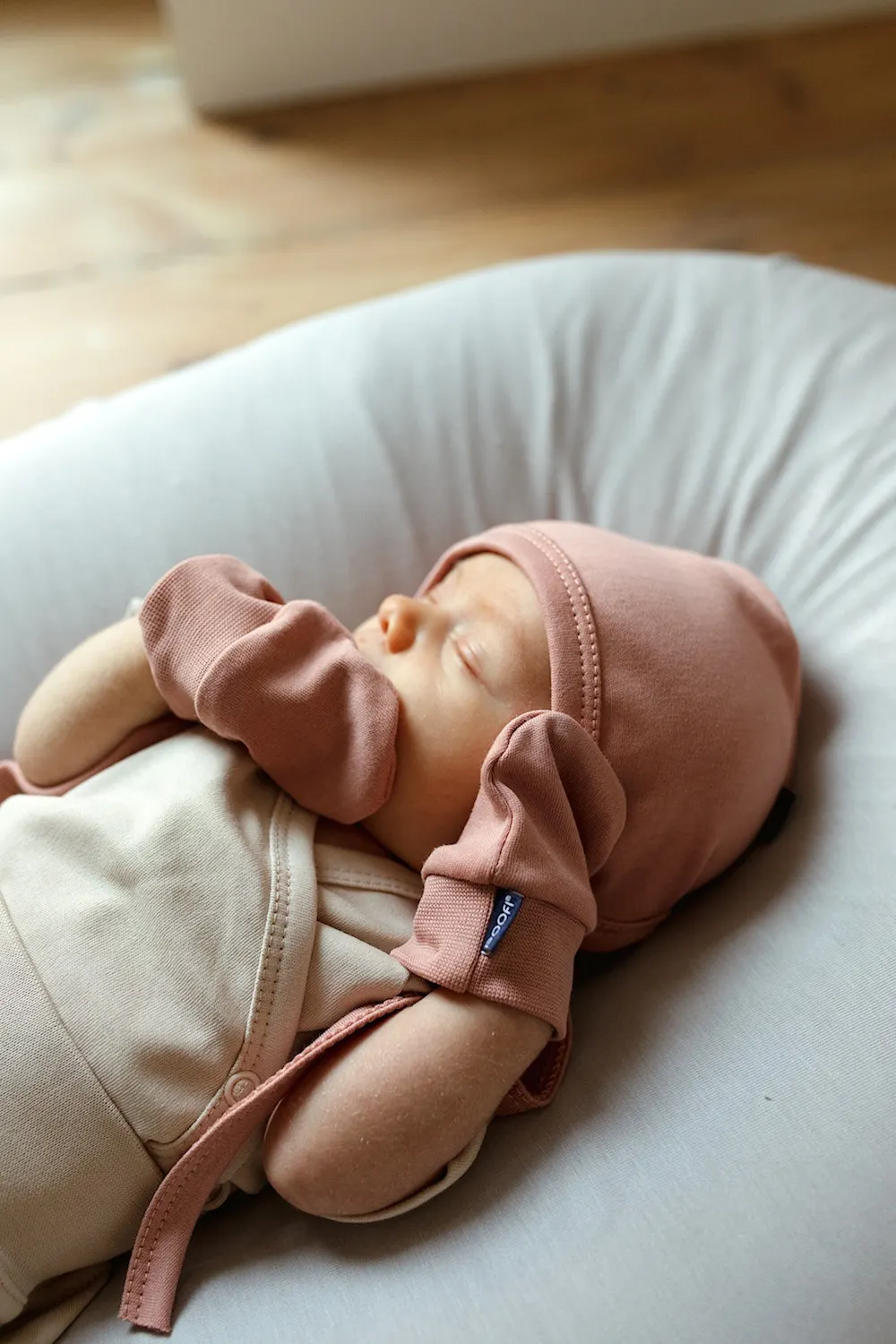 Poofi - łapki niedrapki herbaciana róża