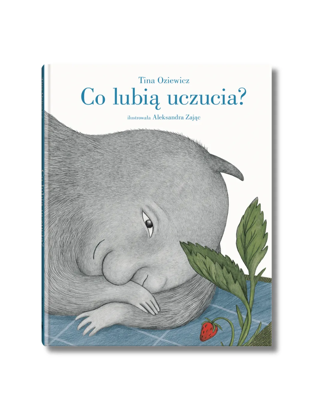 Wydawnictwo Dwie Siostry - Co lubią uczucia Wydawnictwo Dwie Siostry - Co lubią uczucia