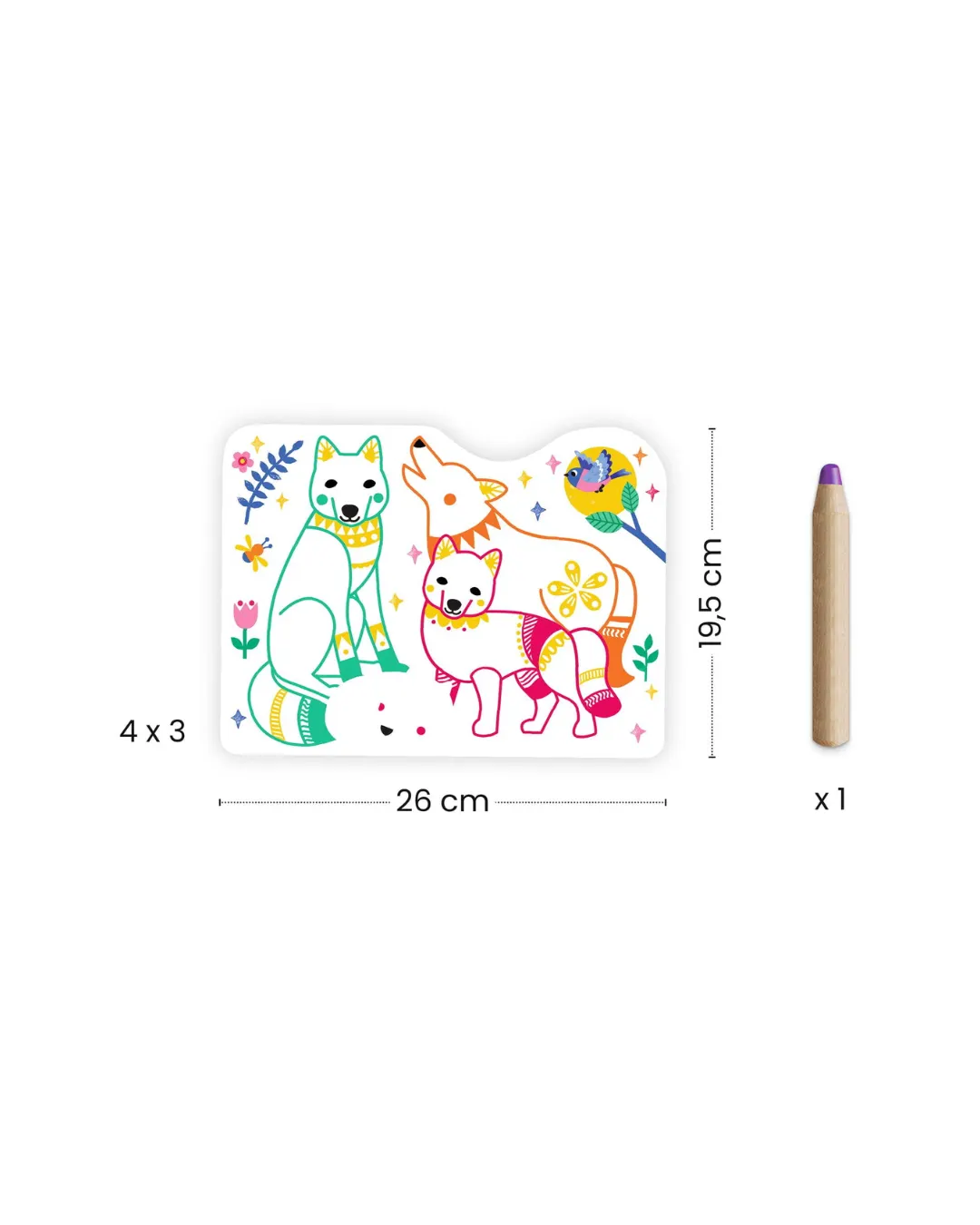 Djeco - magiczne kolorowanki Leśne Zwierzątka