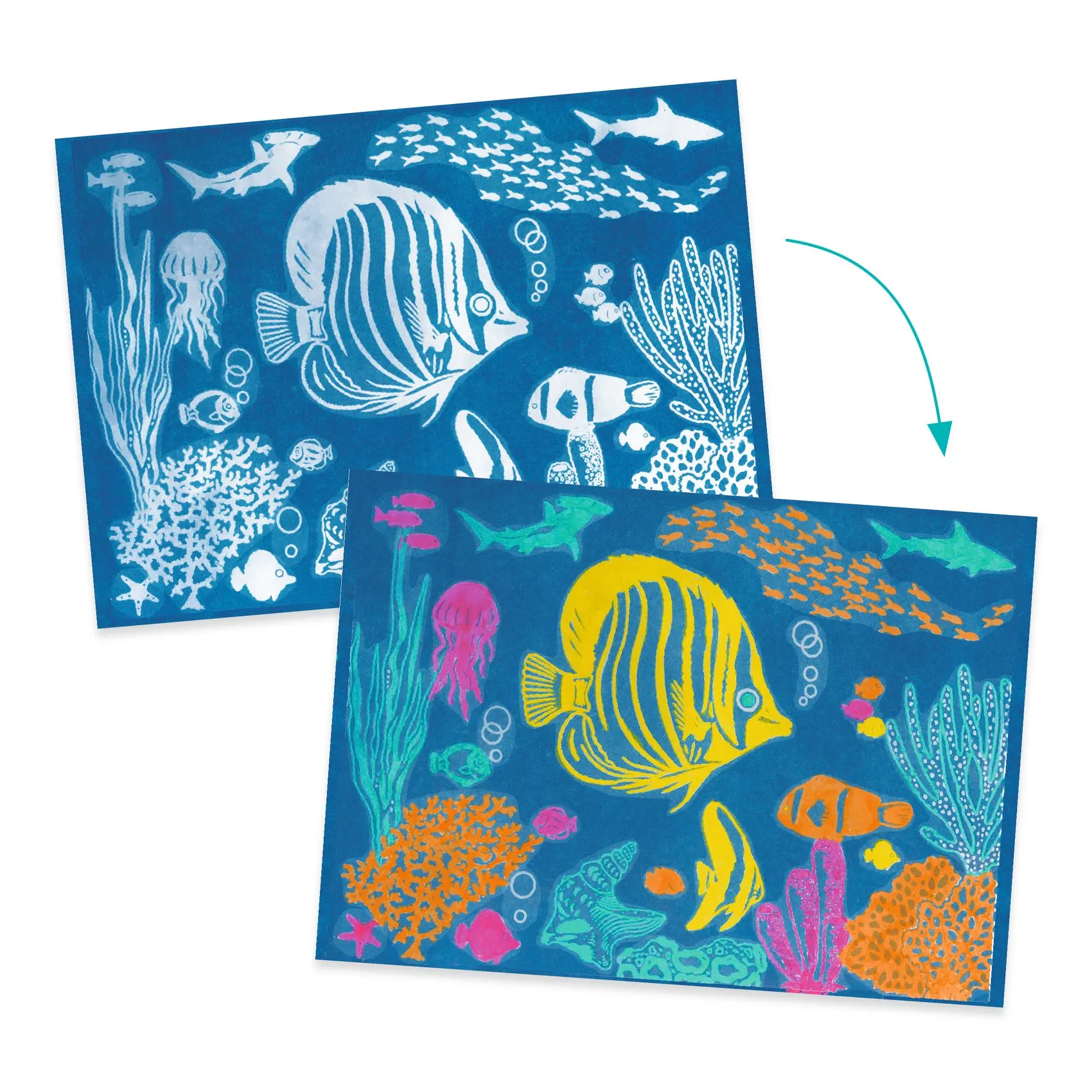 Djeco - zestaw artystyczny cyjanotypia Ocean Djeco - zestaw artystyczny cyjanotypia Ocean