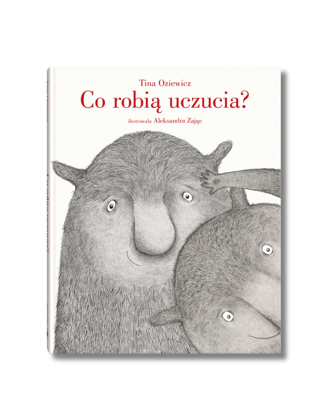 Wydawnictwo Dwie Siostry - Co robią uczucia?