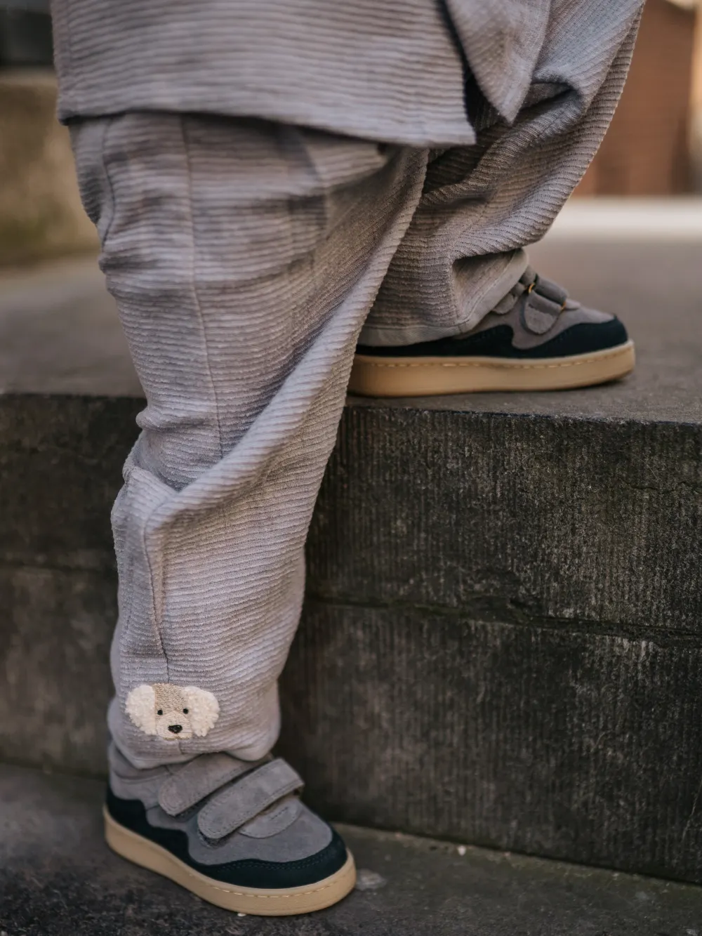 Donsje - stylizacja dla małego chłopca Golden Retriever