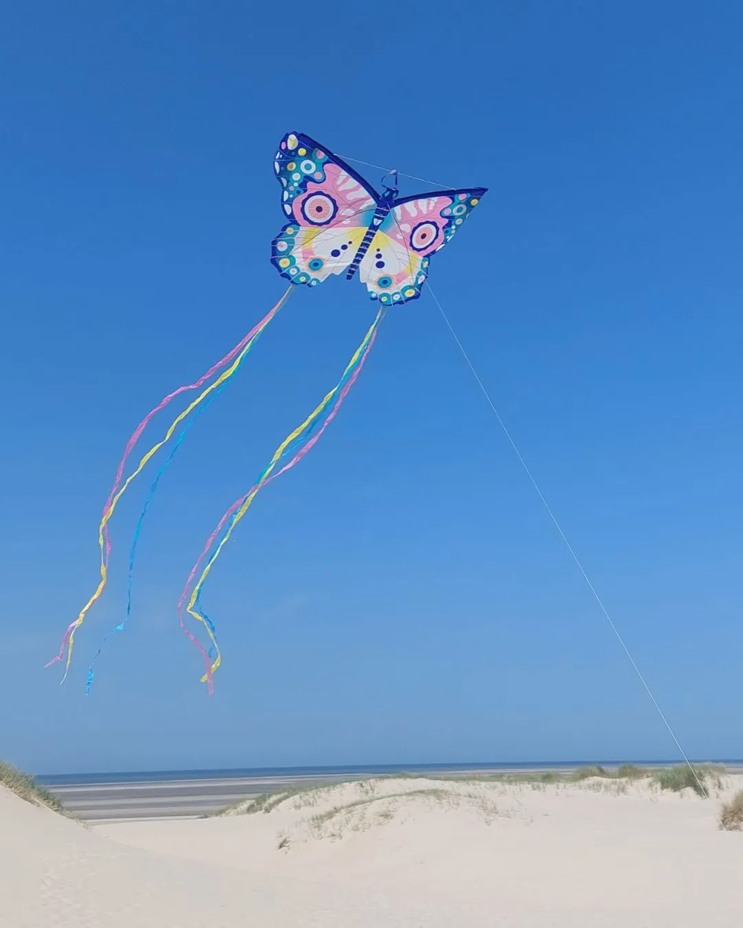 Djeco - latawiec maxi Motyl Djeco - latawiec maxi Motyl