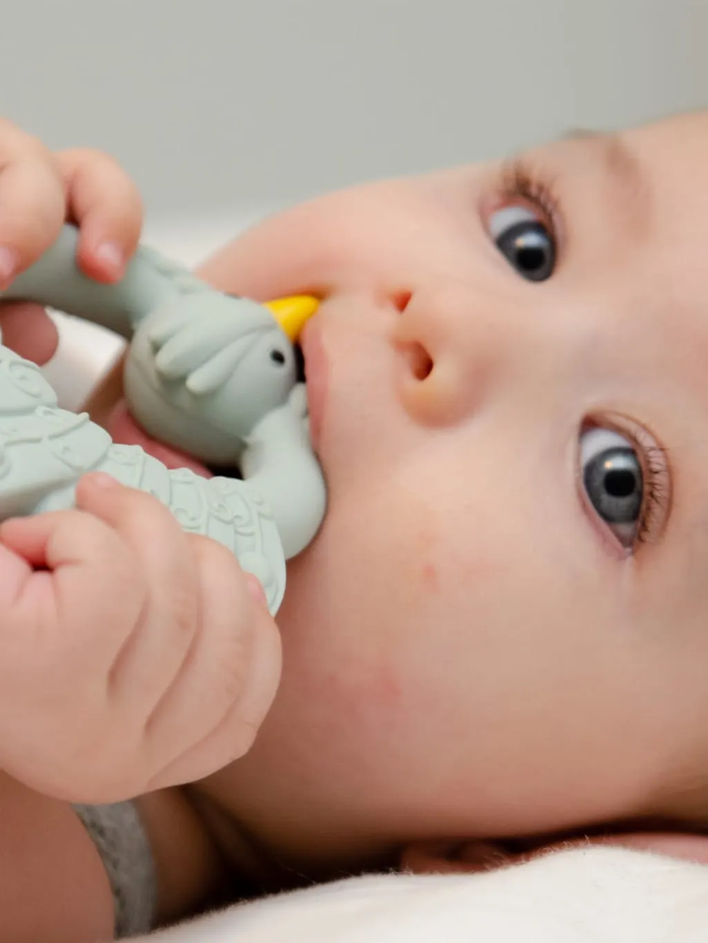 Natruba - gryzak z naturalnego kauczuku Paw błękitny Natruba - gryzak z naturalnego kauczuku Paw błękitny