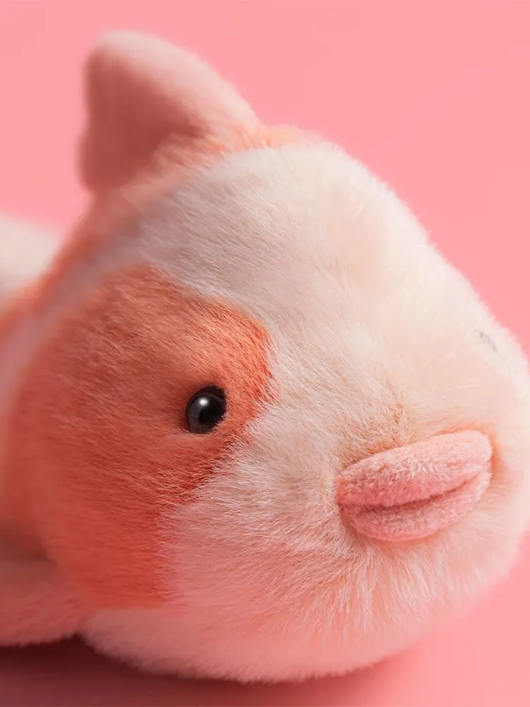 Jellycat - Fantazyjny Karp 20 cm Jellycat - Fantazyjny Karp 20 cm