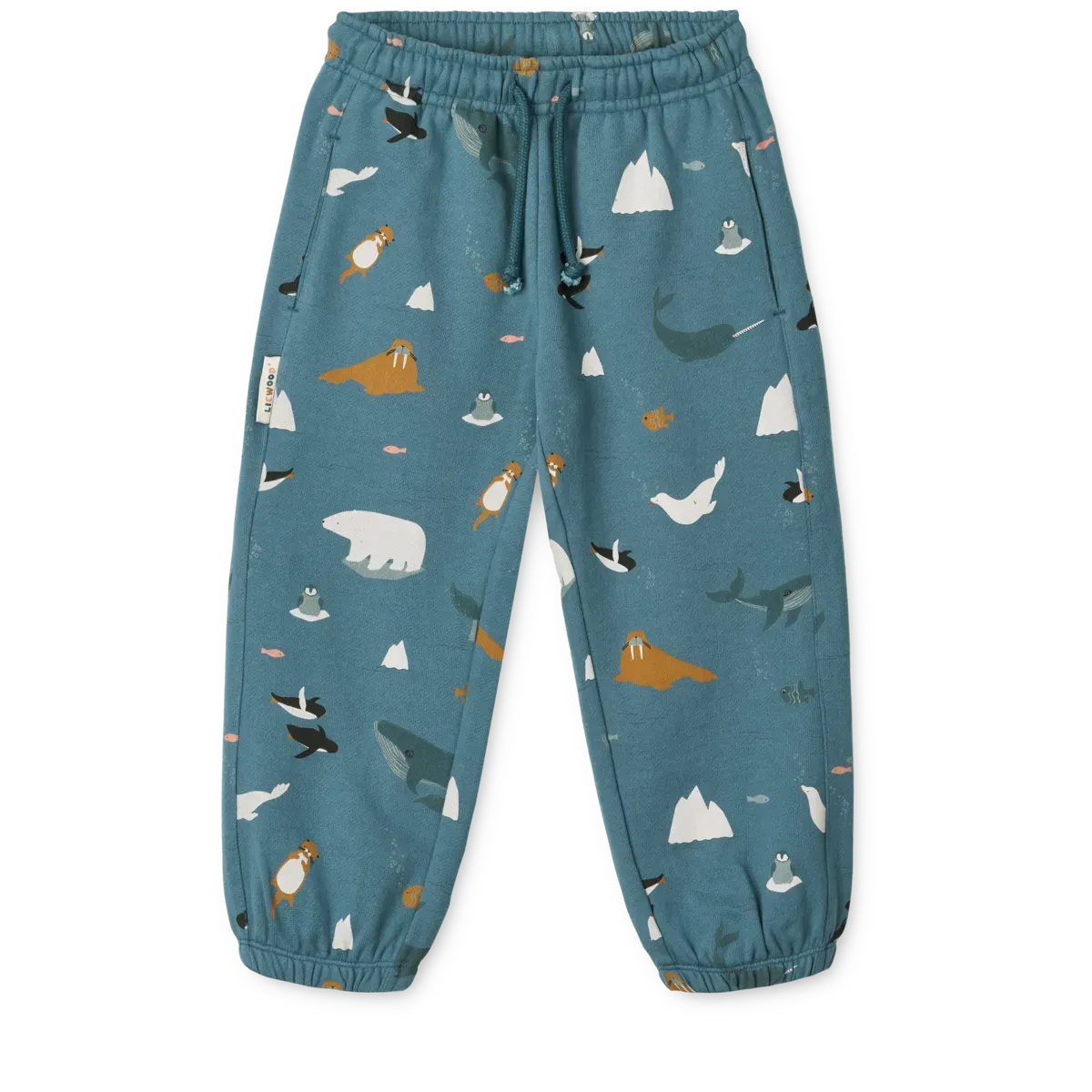 Arctic Sea / Ocean view