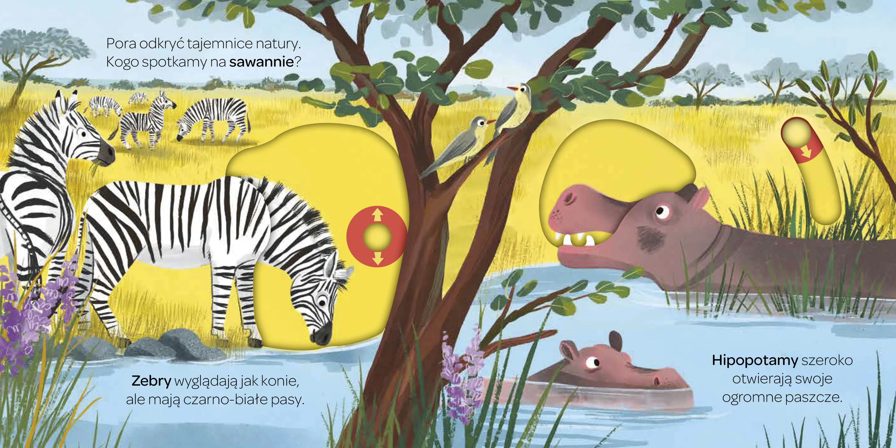 Wydawnictwo Wilga - Na sawannie. Młodzi przyrodnicy