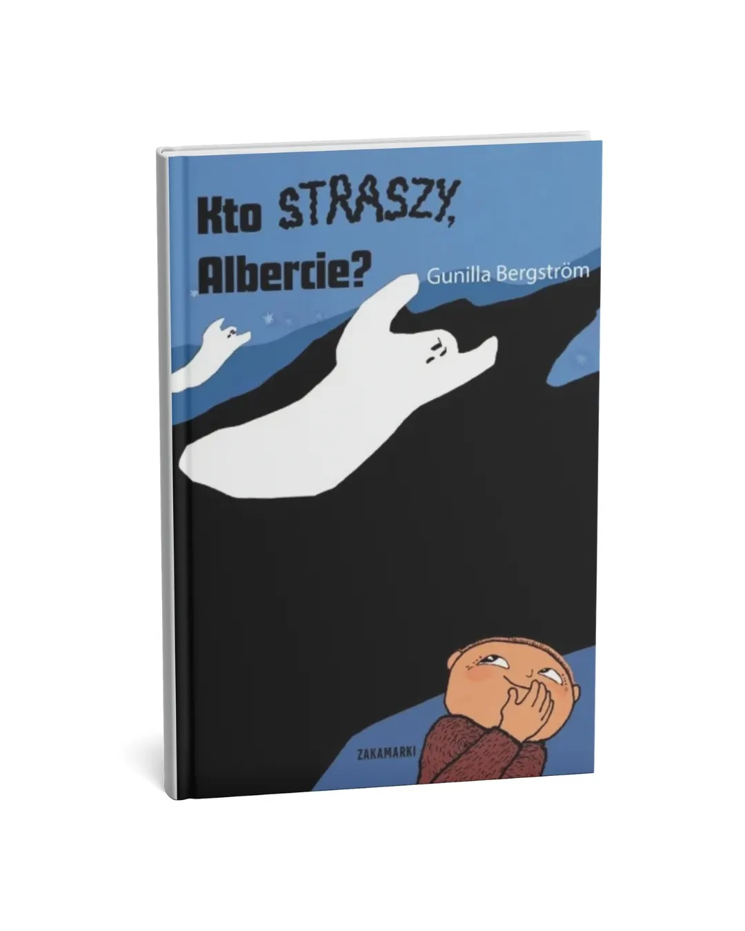 Wydawnictwo Zakamarki - Kto straszy, Albercie?