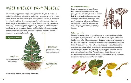 Wydawnictwo Wilga - Rozpoznaję drzewa. Młodzi przyrodnicy Wydawnictwo Wilga - Rozpoznaję drzewa. Młodzi przyrodnicy