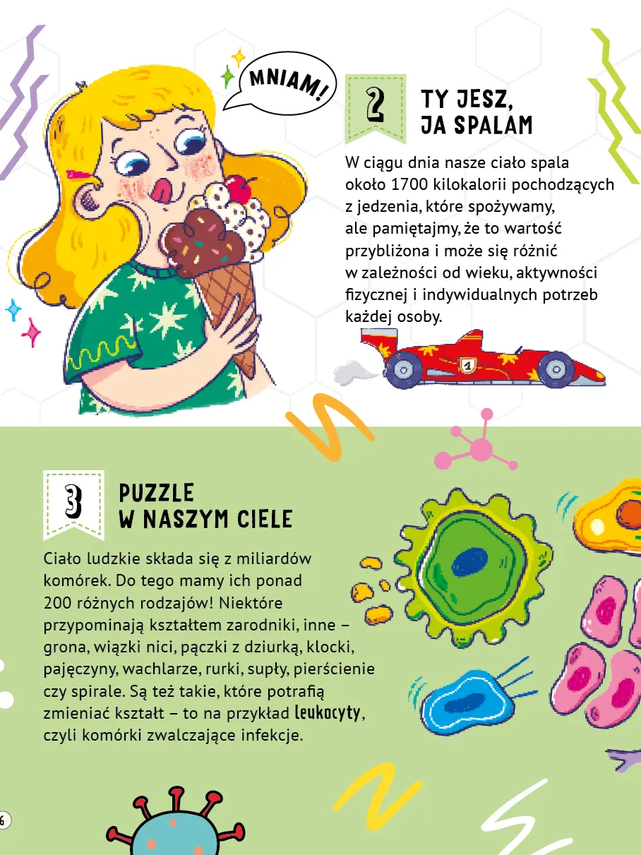 Wydawnictwo Wilga - 101 ciekawych faktów o naszym ciele Wydawnictwo Wilga - 101 ciekawych faktów o naszym ciele