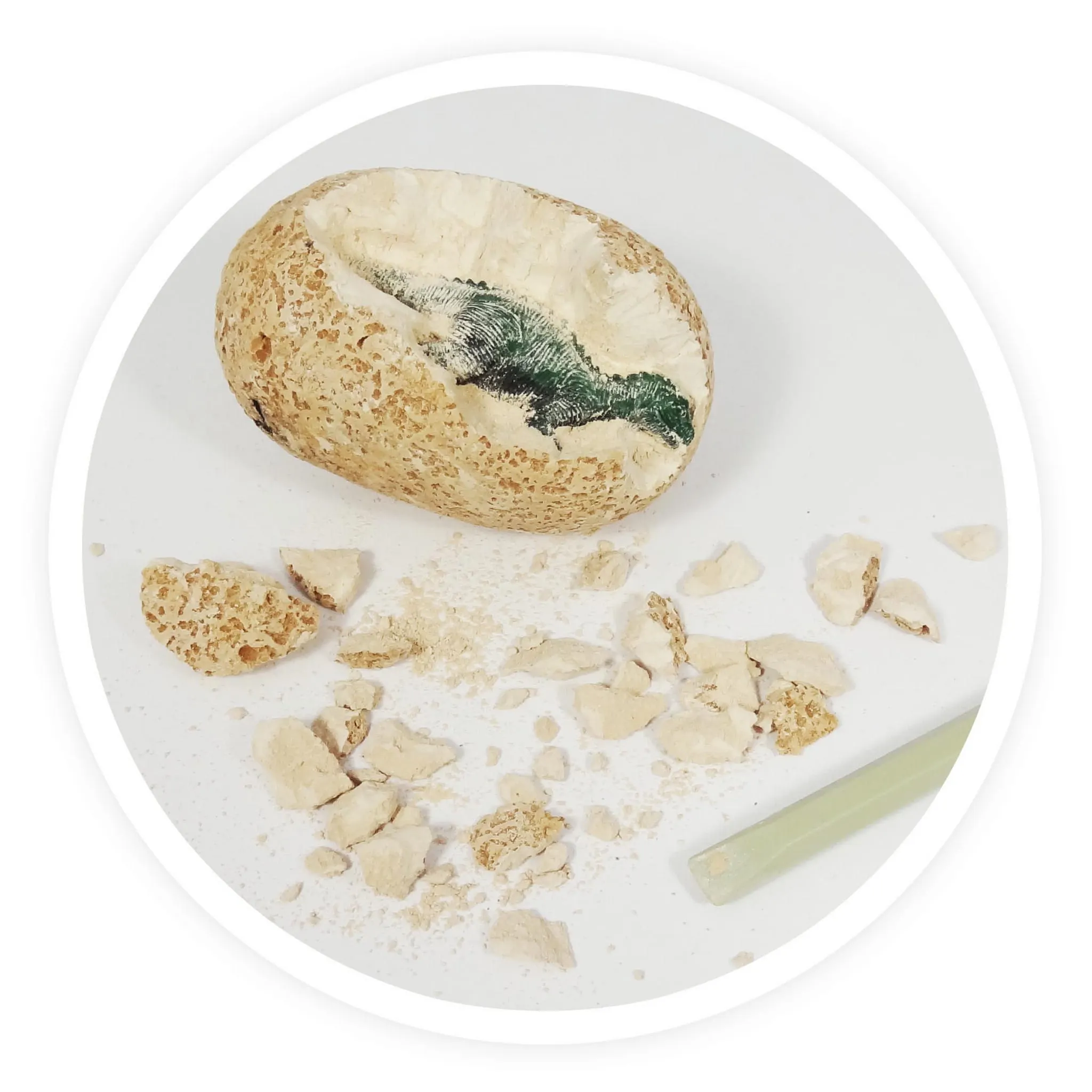 Buki - gipsowe jajko dinozaura Buki - gipsowe jajko dinozaura