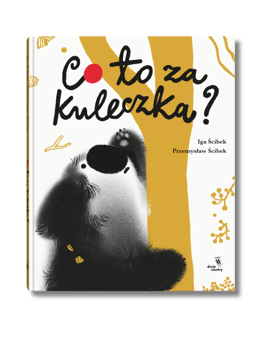 Wydawnictwo Dwie Siostry - Co to za kuleczka? Wydawnictwo Dwie Siostry - Co to za kuleczka?