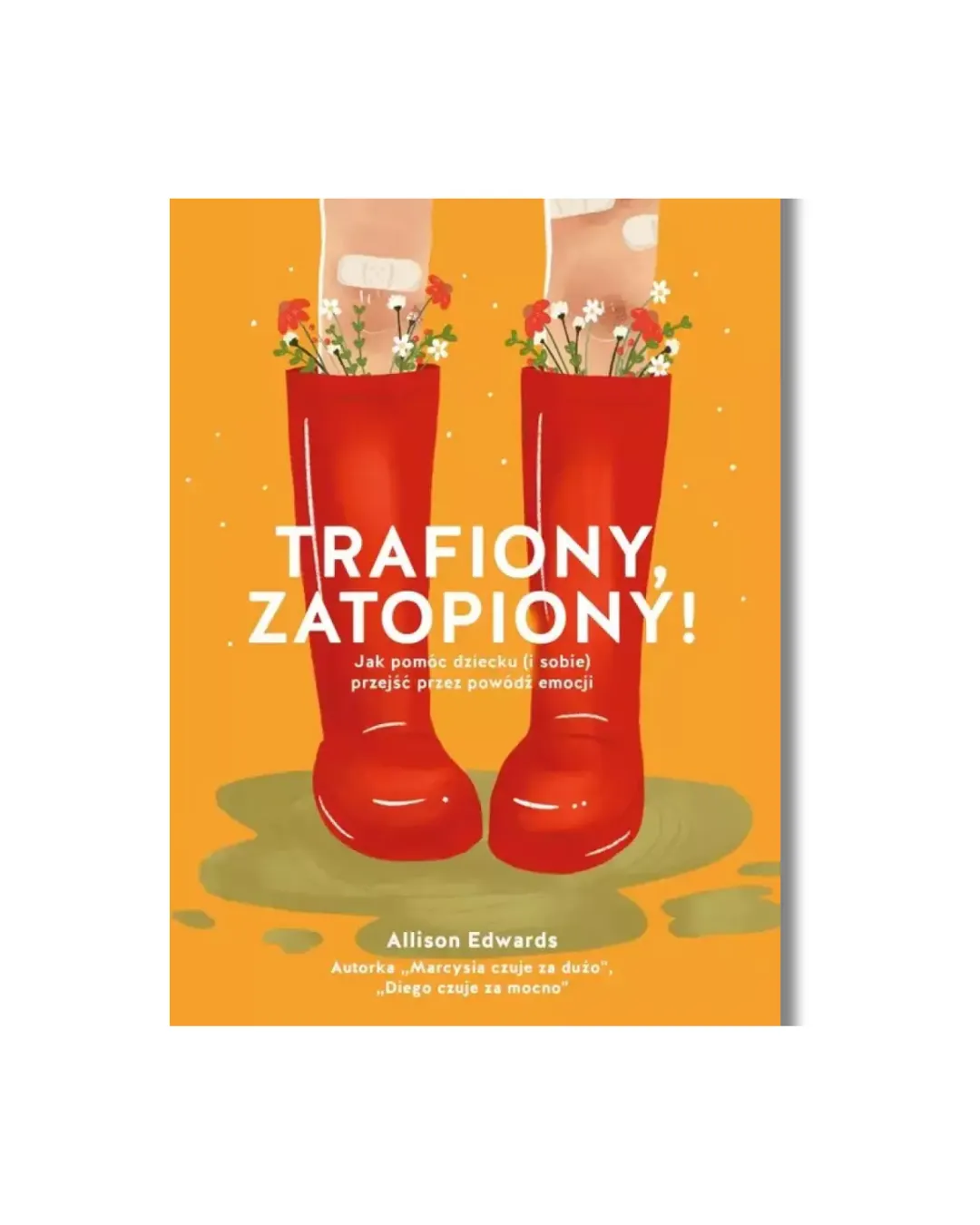 Wydawnictwo Levyz Books - książka poradnik dla dzieci - Trafiony, zatopiony! Jak pomóc dziecku (i sobie) przejść przez powódź emocji Wydawnictwo Levyz Books - książka poradnik dla dzieci - Trafiony, zatopiony! Jak pomóc dziecku (i sobie) przejść przez powódź emocji