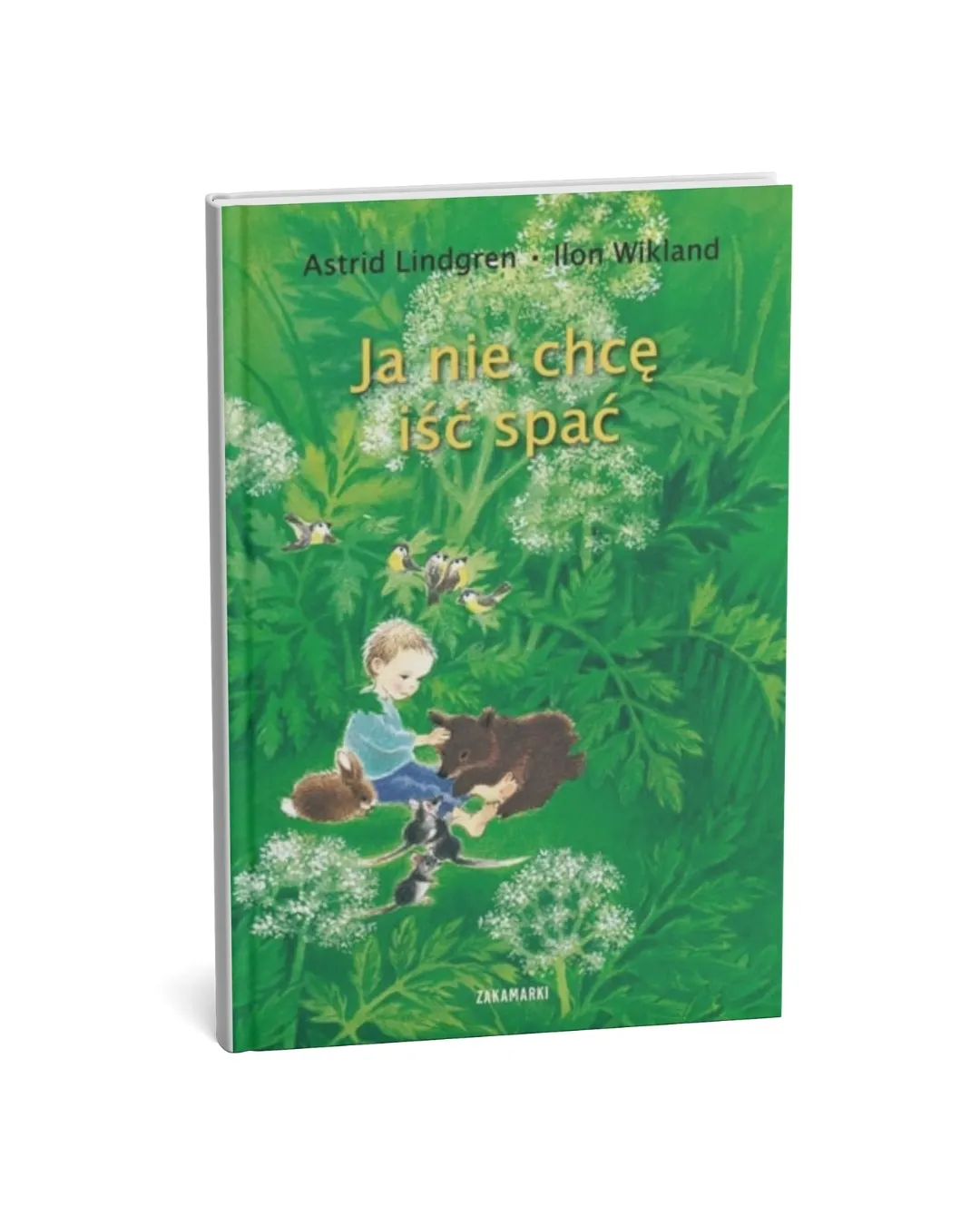 Wydawnictwo Zakamarki - Ja nie chcę iść spać Wydawnictwo Zakamarki - Ja nie chcę iść spać