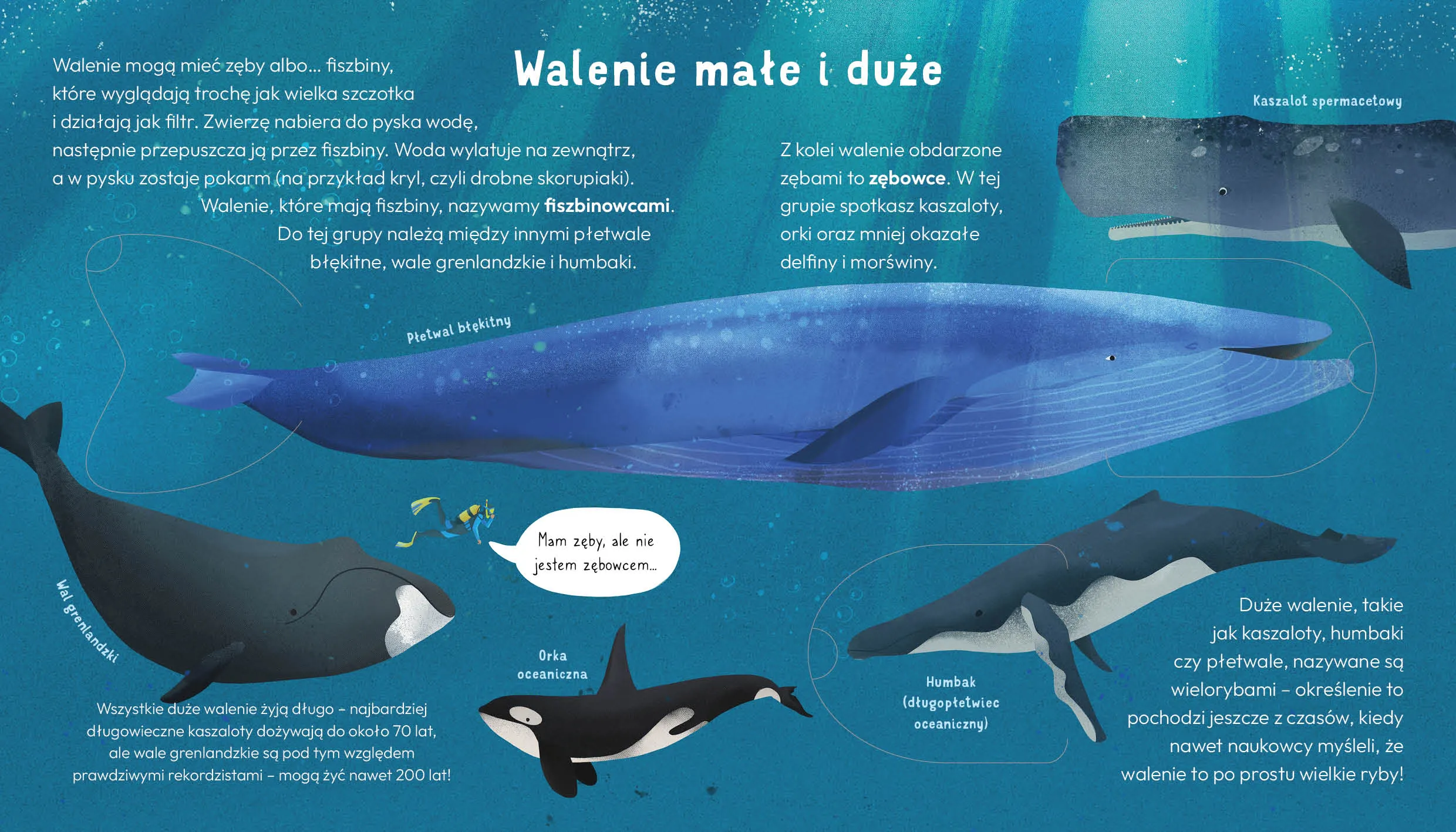 Wydawnictwo Wilga - Nie jestem rybą. Fakty o zwierzętach. Młodzi Przyrodnicy Wydawnictwo Wilga - Nie jestem rybą. Fakty o zwierzętach. Młodzi Przyrodnicy