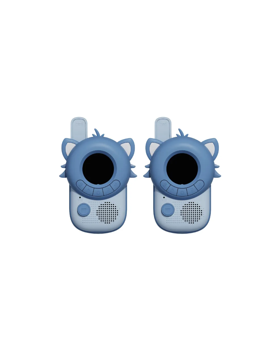 Raccoon / Raccoon