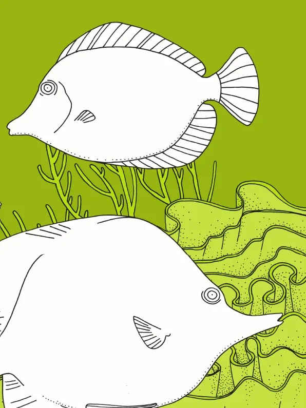 Wydawnictwo Dwie Siostry - Podwodnik