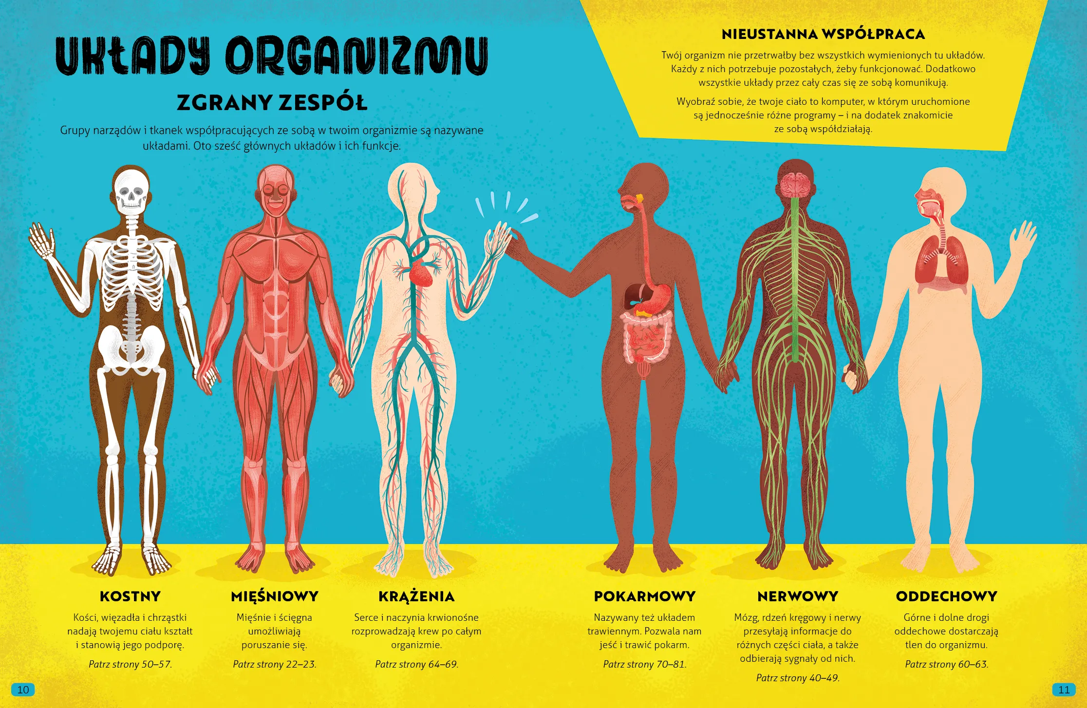 Wydawnictwo Wilga - Wszystko o ciele Wydawnictwo Wilga - Wszystko o ciele