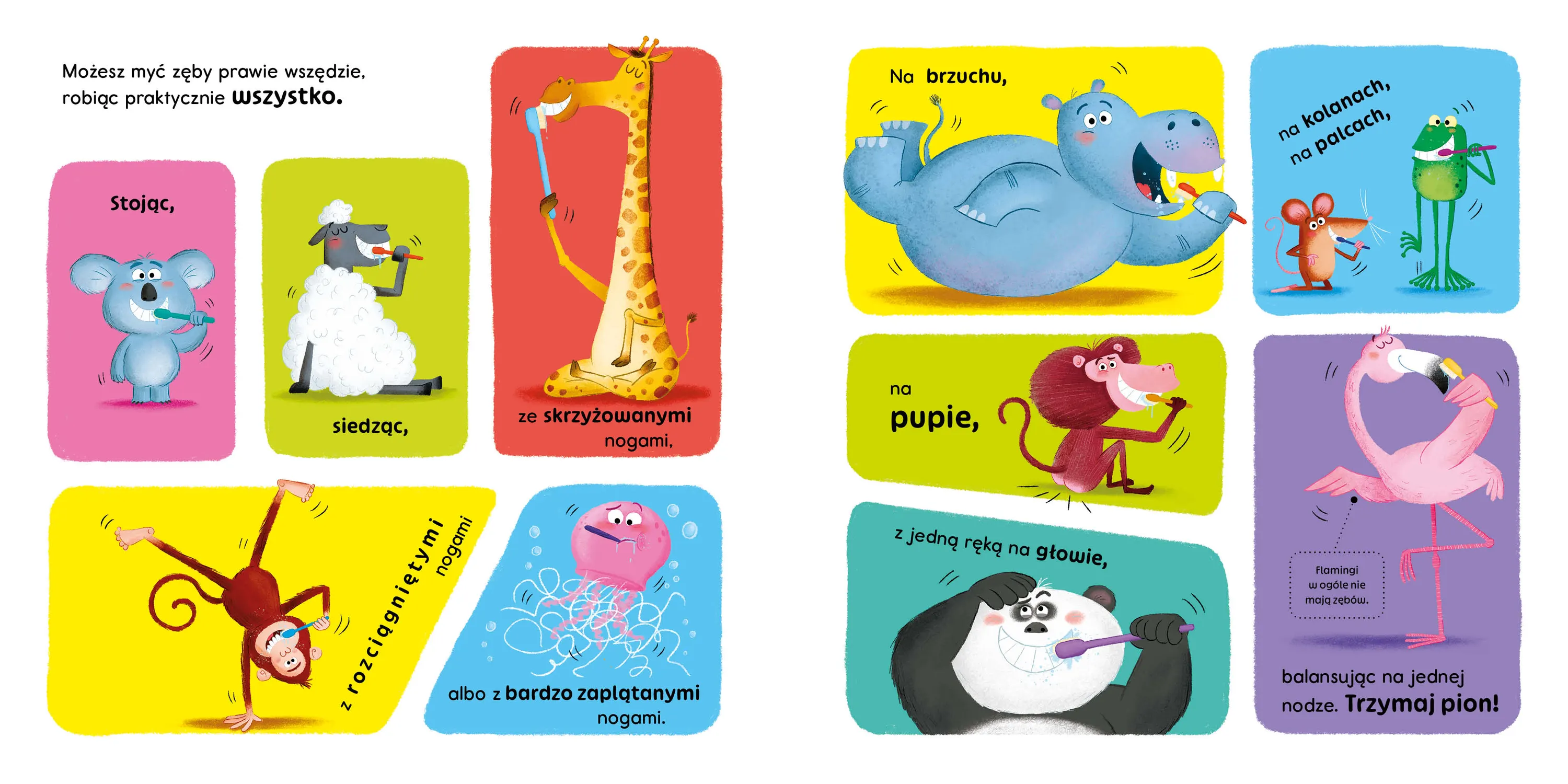 Wydawnictwo Wilga - 101 sposobów jak myć zęby