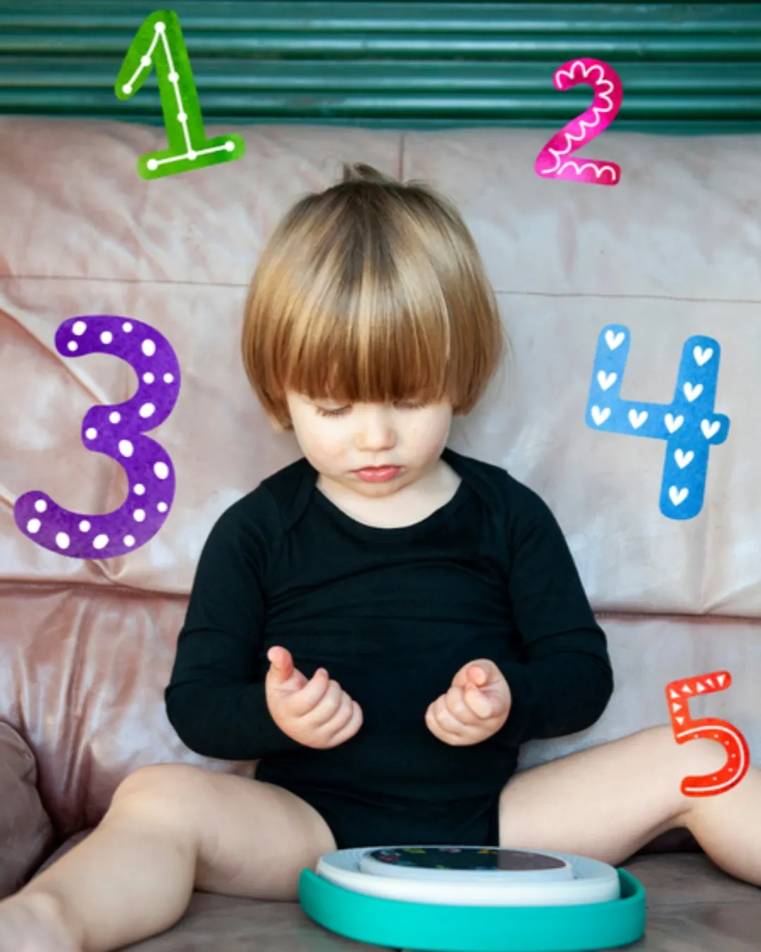 TIMIO - zestaw dysków 2